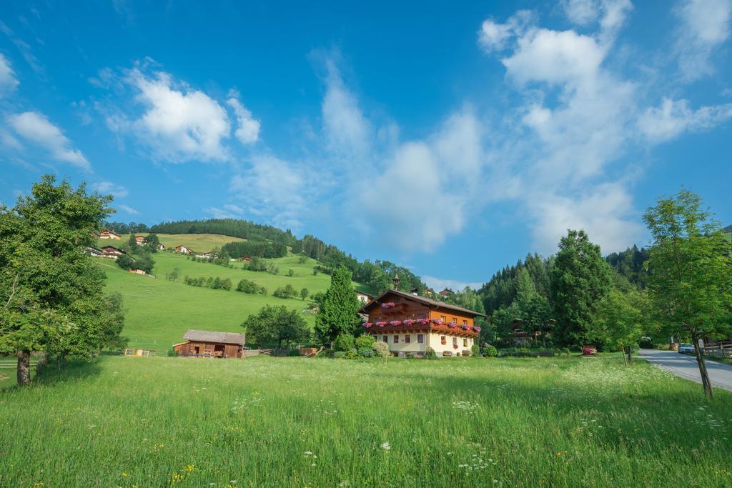 Bauernhof Auhof Apartment Wagrain Exterior photo